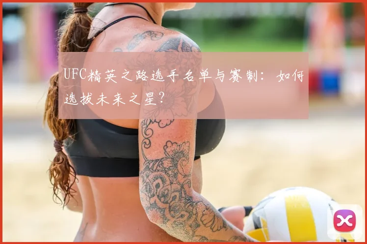UFC精英之路选手名单与赛制:如何选拔未来之星?