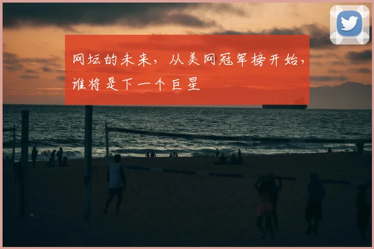 网坛的未来,从美网冠军榜开始,谁将是下一个巨星