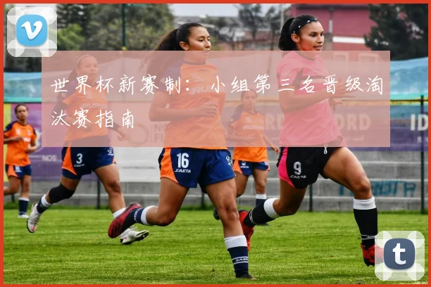 世界杯新赛制:小组第三名晋级淘汰赛指南