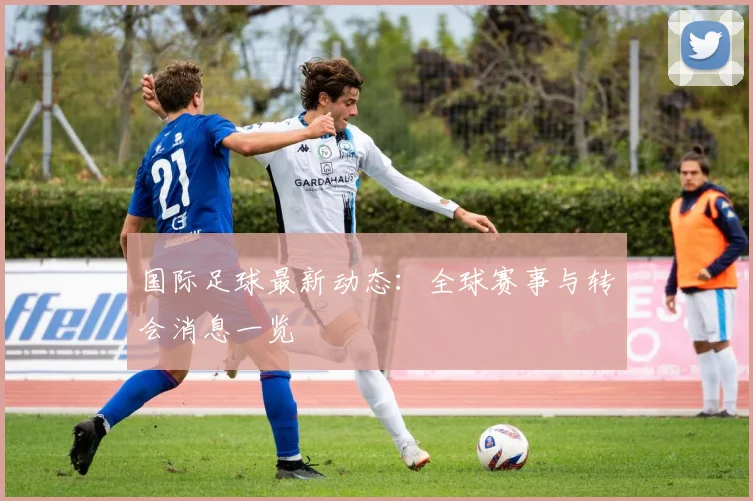 国际足球最新动态：全球赛事与转会消息一览