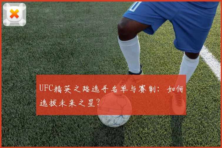 UFC精英之路选手名单与赛制：如何选拔未来之星？