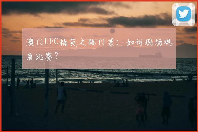 澳门UFC精英之路门票：如何现场观看比赛？