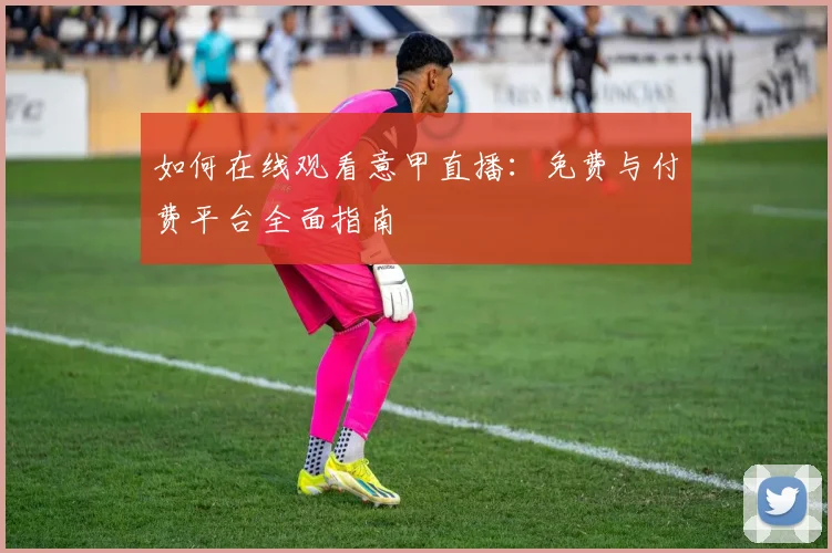如何在线观看意甲直播:免费与付费平台全面指南